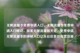 无限流量卡免费申请入口,无限流量卡免费申请入口移动,探索无限流量新天地,免费申请无限流量卡的神秘入口亿乐社区低价自营货源站