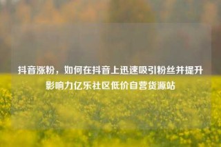 抖音涨粉,如何在抖音上迅速吸引粉丝并提升影响力亿乐社区低价自营货源站