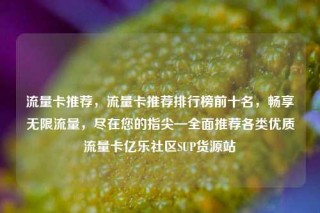 流量卡推荐,流量卡推荐排行榜前十名,畅享无限流量,尽在您的指尖—全面推荐各类优质流量卡亿乐社区SUP货源站