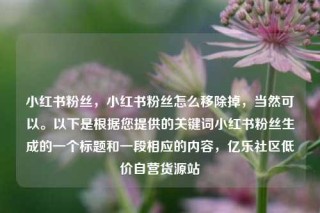 小红书粉丝,小红书粉丝怎么移除掉,当然可以。以下是根据您提供的关键词小红书粉丝生成的一个标题和一段相应的内容,亿乐社区低价自营货源站