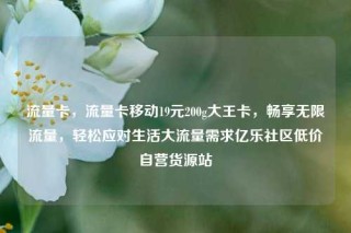 流量卡，流量卡移动19元200g大王卡，畅享无限流量，轻松应对生活大流量需求亿乐社区低价自营货源站