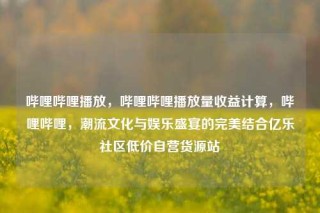 哔哩哔哩播放,哔哩哔哩播放量收益计算,哔哩哔哩,潮流文化与娱乐盛宴的完美结合亿乐社区低价自营货源站