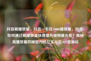 抖音刷播放量,抖音一毛钱10000播放量,抖音,如何通过刷播放量快速提升视频曝光度?揭秘高播放量的秘密方法亿乐社区SUP货源站