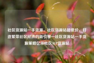 社区货源站一手货源,社区货源站超低价,打造繁荣社区经济的新引擎—社区货源站一手货源策略亿乐社区SUP货源站