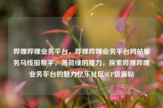 哔哩哔哩业务平台,哔哩哔哩业务平台网站服务马线报帮手,薄荷绿的魔力,探索哔哩哔哩业务平台的魅力亿乐社区SUP货源站