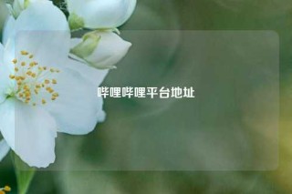 哔哩哔哩平台地址