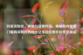 抖音买粉丝,揭秘抖音黑科技,揭秘如何用低门槛购买粉丝的秘密亿乐社区低价自营货源站