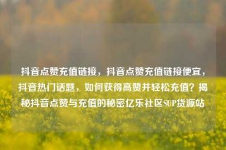 抖音点赞充值链接,抖音点赞充值链接便宜,抖音热门话题,如何获得高赞并轻松充值?揭秘抖音点赞与充值的秘密亿乐社区SUP货源站