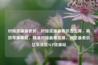 对接货源最低价,对接货源最低价怎么算,高效寻源策略,精准对接最惠货源,锁定最低价亿乐社区SUP货源站