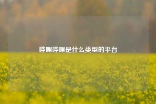 哔哩哔哩是什么类型的平台