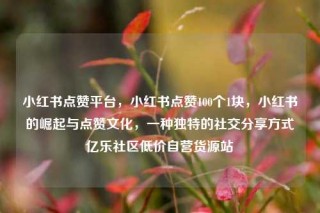 小红书点赞平台,小红书点赞100个1块,小红书的崛起与点赞文化,一种独特的社交分享方式亿乐社区低价自营货源站