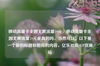 移动流量卡全国无限流量19元,移动流量卡全国无限流量19元是真的吗,当然可以。以下是一个新的标题和相应的内容,亿乐社区SUP货源站