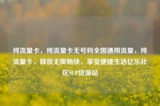 纯流量卡,纯流量卡无号码全国通用流量,纯流量卡,释放无限畅快,享受便捷生活亿乐社区SUP货源站