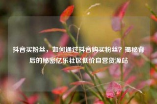 抖音买粉丝,如何通过抖音购买粉丝?揭秘背后的秘密亿乐社区低价自营货源站