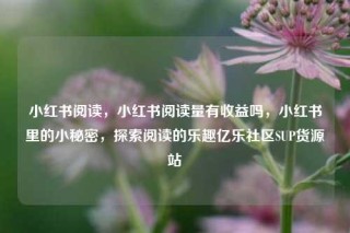 小红书阅读,小红书阅读量有收益吗,小红书里的小秘密,探索阅读的乐趣亿乐社区SUP货源站