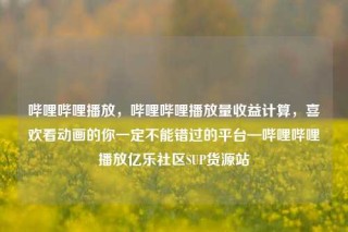 哔哩哔哩播放，哔哩哔哩播放量收益计算，喜欢看动画的你一定不能错过的平台—哔哩哔哩播放亿乐社区SUP货源站