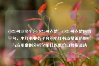 小红书业务平台小红书点赞,小红书点赞网络平台,小红书业务平台的小红书点赞策略解析与应用案例分析亿乐社区低价自营货源站