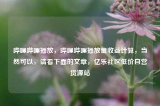 哔哩哔哩播放,哔哩哔哩播放量收益计算,当然可以,请看下面的文章,亿乐社区低价自营货源站