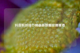 抖音粉丝排行榜最新数据在哪里看