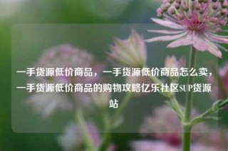 一手货源低价商品,一手货源低价商品怎么卖,一手货源低价商品的购物攻略亿乐社区SUP货源站