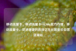 移动流量卡,移动流量卡9元300g官方办理,移动流量卡,灵活便捷的选择亿乐社区低价自营货源站