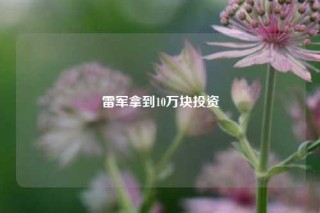 雷军拿到10万块投资