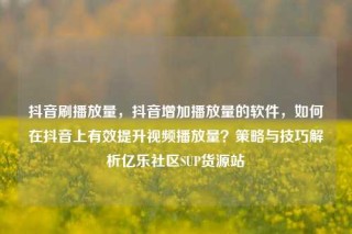 抖音刷播放量,抖音增加播放量的软件,如何在抖音上有效提升视频播放量?策略与技巧解析亿乐社区SUP货源站