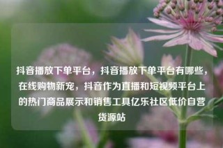 抖音播放下单平台,抖音播放下单平台有哪些,在线购物新宠,抖音作为直播和短视频平台上的热门商品展示和销售工具亿乐社区低价自营货源站