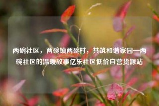 两碗社区，两碗镇两碗村，共筑和谐家园—两碗社区的温暖故事亿乐社区低价自营货源站