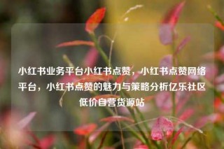 小红书业务平台小红书点赞，小红书点赞网络平台，小红书点赞的魅力与策略分析亿乐社区低价自营货源站