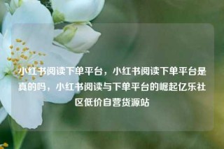 小红书阅读下单平台，小红书阅读下单平台是真的吗，小红书阅读与下单平台的崛起亿乐社区低价自营货源站