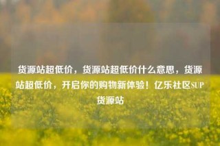 货源站超低价，货源站超低价什么意思，货源站超低价，开启你的购物新体验！亿乐社区SUP货源站