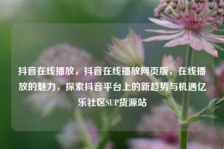 抖音在线播放,抖音在线播放网页版,在线播放的魅力,探索抖音平台上的新趋势与机遇亿乐社区SUP货源站