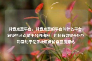 抖音点赞平台，抖音点赞的平台叫什么平台，解锁抖音点赞平台的秘密，如何有效提升粉丝和互动率亿乐社区低价自营货源站