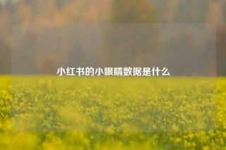 小红书的小眼睛数据是什么
