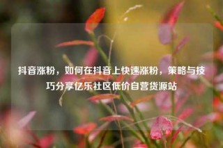 抖音涨粉,如何在抖音上快速涨粉,策略与技巧分享亿乐社区低价自营货源站