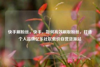 快手刷粉丝,快手,如何高效刷取粉丝,打造个人品牌亿乐社区低价自营货源站