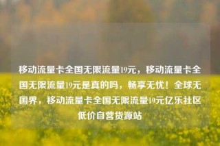移动流量卡全国无限流量19元,移动流量卡全国无限流量19元是真的吗,畅享无忧!全球无国界,移动流量卡全国无限流量19元亿乐社区低价自营货源站
