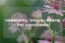 抖音刷播放量平台,如何在抖音上高效提升播放量?亿乐社区SUP货源站