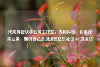 代刷抖音快手业务工作室,揭秘抖音、快手代刷业务,如何合法合规运营亿乐社区SUP货源站