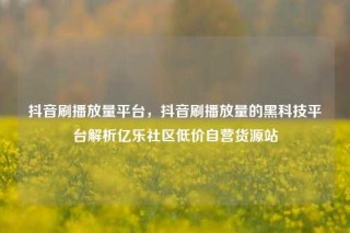抖音刷播放量平台,抖音刷播放量的黑科技平台解析亿乐社区低价自营货源站