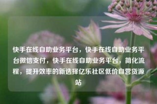 快手在线自助业务平台,快手在线自助业务平台微信支付,快手在线自助业务平台,简化流程,提升效率的新选择亿乐社区低价自营货源站
