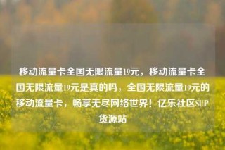 移动流量卡全国无限流量19元,移动流量卡全国无限流量19元是真的吗,全国无限流量19元的移动流量卡,畅享无尽网络世界!亿乐社区SUP货源站