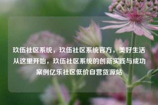 玖伍社区系统，玖伍社区系统官方，美好生活从这里开始，玖伍社区系统的创新实践与成功案例亿乐社区低价自营货源站