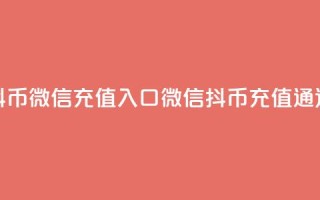 抖币微信充值入口(微信抖币充值通道)