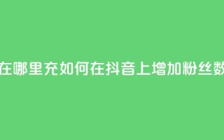 抖音粉丝在哪里充 - 如何在抖音上增加粉丝数量？~