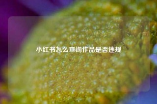 小红书怎么查询作品是否违规