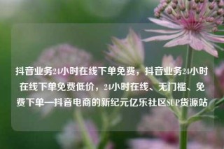 抖音业务24小时在线下单免费,抖音业务24小时在线下单免费低价,24小时在线、无门槛、免费下单—抖音电商的新纪元亿乐社区SUP货源站
