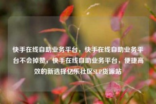 快手在线自助业务平台,快手在线自助业务平台不会掉赞,快手在线自助业务平台,便捷高效的新选择亿乐社区SUP货源站