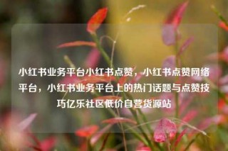 小红书业务平台小红书点赞,小红书点赞网络平台,小红书业务平台上的热门话题与点赞技巧亿乐社区低价自营货源站